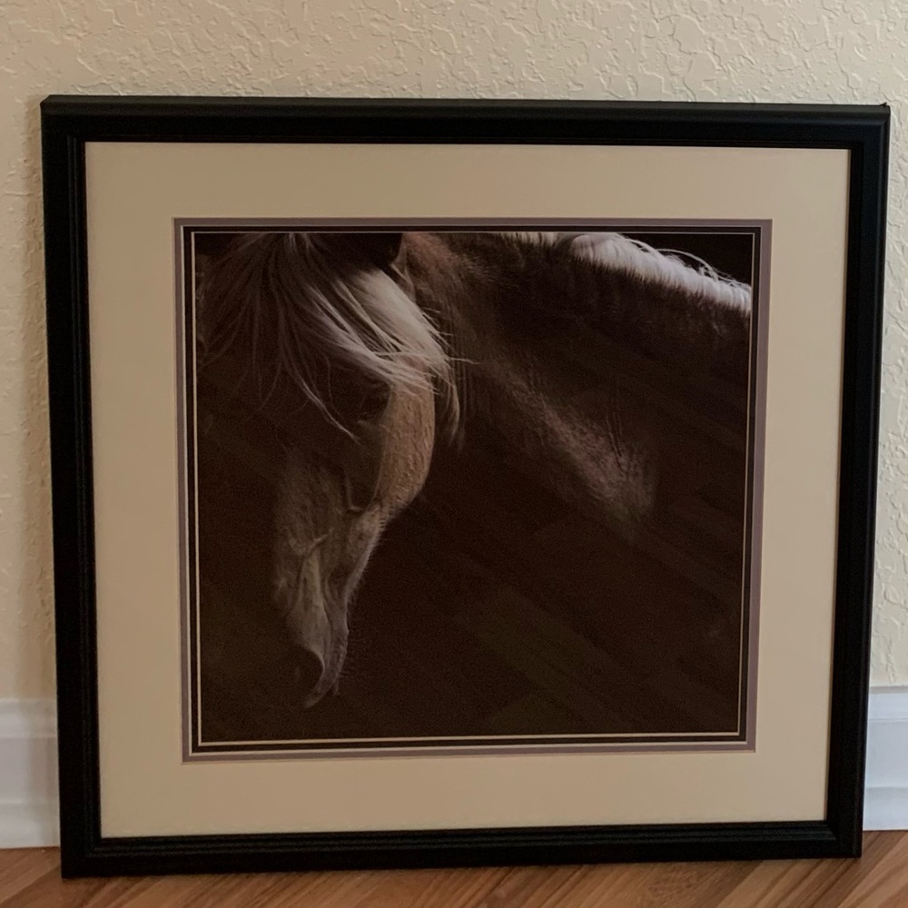 Framed Horse Portrait Art